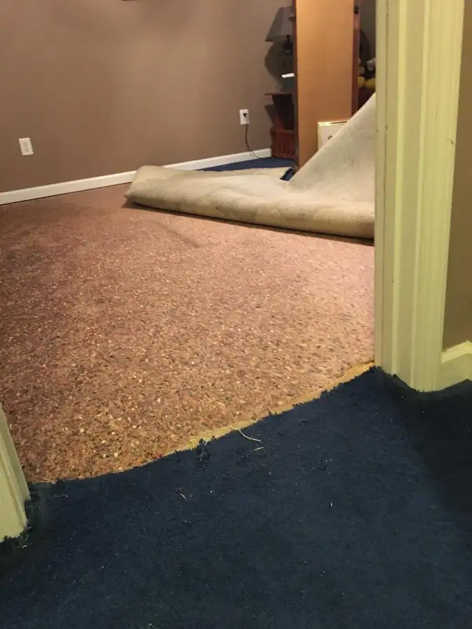 Carpet pad removal revealing water damage during Drying & Dehumidification in Collingdale