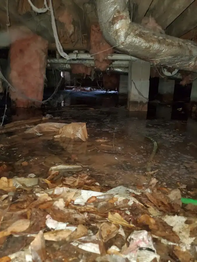 Crawl space flood assessment for Leak Detection & Repair in Collingdale